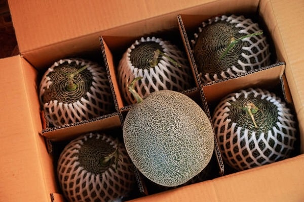THÙNG CARTON ĐỰNG TRÁI CÂY
